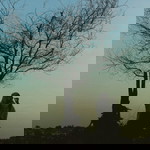 windi mustakim profile icon