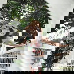 Thitinun Thanachaivivat profile icon