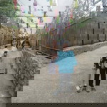 ลูกสาว หล้า profile icon