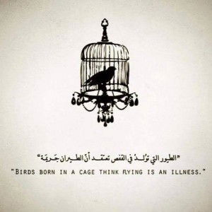 Abdurrahman profile icon