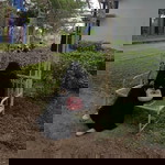 Tri Ummu Raga profile icon