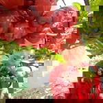 Putri Dewi Kusumaningrum profile icon