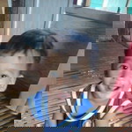 Afan Sardik profile icon