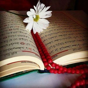 AGITHA SARI profile icon