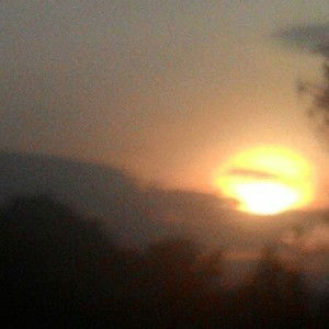 Syed Khaidir profile icon