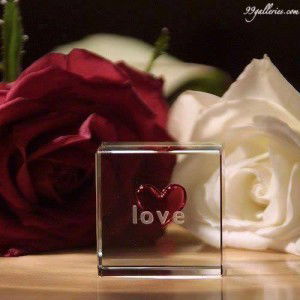 Sartika Rani profile icon