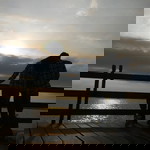 Maharani Ayu profile icon