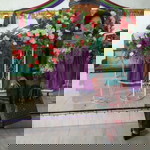 Desti Emma Bernauli Purba profile icon