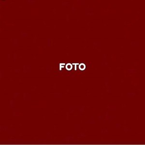 Dina Wiyono profile icon