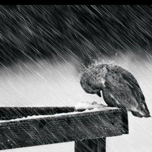 Nakunya Jaekum profile icon