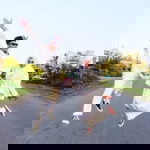 Tira Gemmoke profile icon