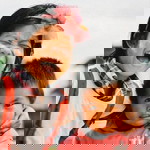 Noo Srijamrus profile icon
