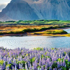 Siti Salwa profile icon