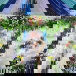 Kiki Novia profile icon