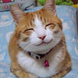 Tina ona profile icon