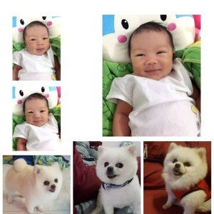 Nattachan Sawatjirapong profile icon