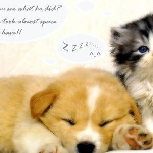 prapai thoopjeen profile icon