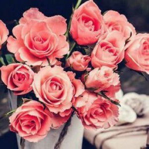 Veyan Jinik profile icon