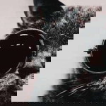 Candiiz LoveLove profile icon