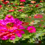 Sri Astuti profile icon