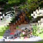 Supatsorn Kwanja profile icon