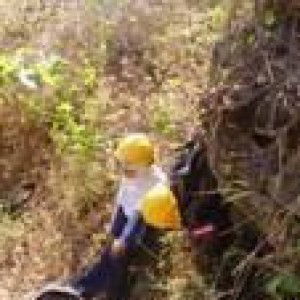 Titin ALit profile icon