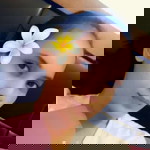 Mady Castillo profile icon