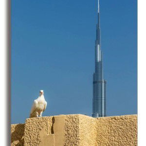 Marissa Islanan profile icon