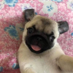 'กลอย จัยยย' profile icon