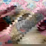 'กลอย จัยยย' profile icon