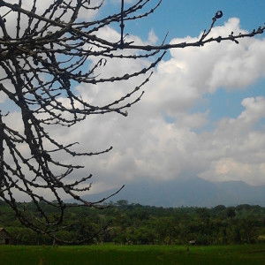 Ismi Khomsiah profile icon