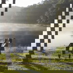 ForFang Teerasinveesakul profile icon