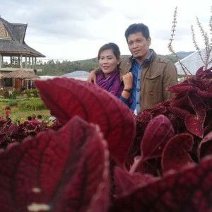 Sinta Ulina Sinta profile icon