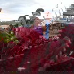 Sinta Ulina Sinta profile icon