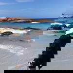 Mac Jellie Rose profile icon