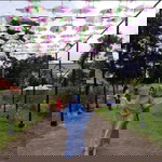 Ridhotul Ilmiah profile icon