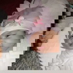 Vhea Zamudio Valenzuela profile icon