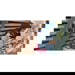 Indriyana Putri profile icon