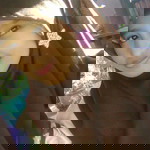 evy sary profile icon