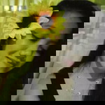 Lorlene Tomas Ramos profile icon