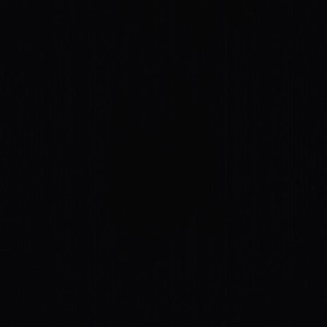 Mitch Danila profile icon