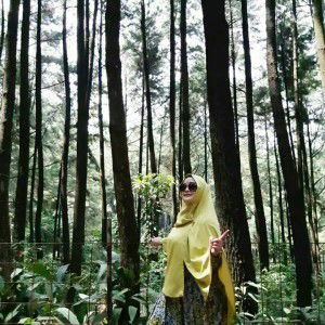 Her-v Arsanty profile icon