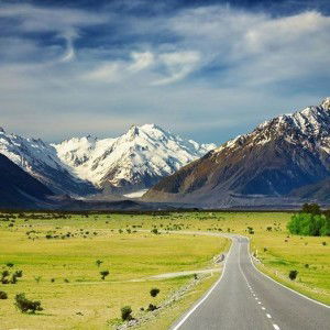 Zebraman Gummy profile icon