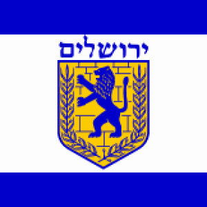 bunga sigiro profile icon