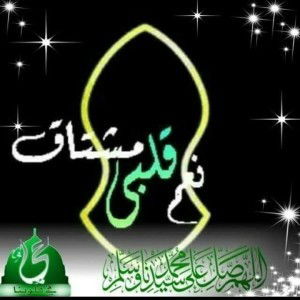 Mukena Tarim Hadromaut profile icon