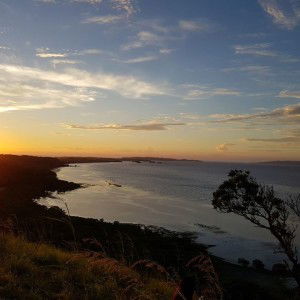 Ria Vicencio profile icon