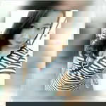 faii 2112 profile icon