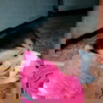 Hidayatul Lailia profile icon