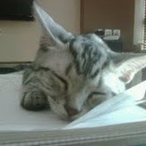 zein fitria profile icon