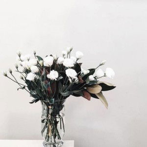 Fenty Ummu Syuraih profile icon